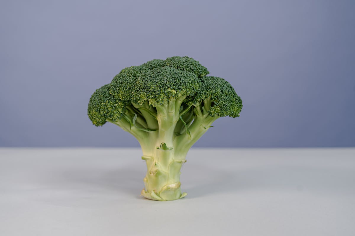 Broccoli on a light background