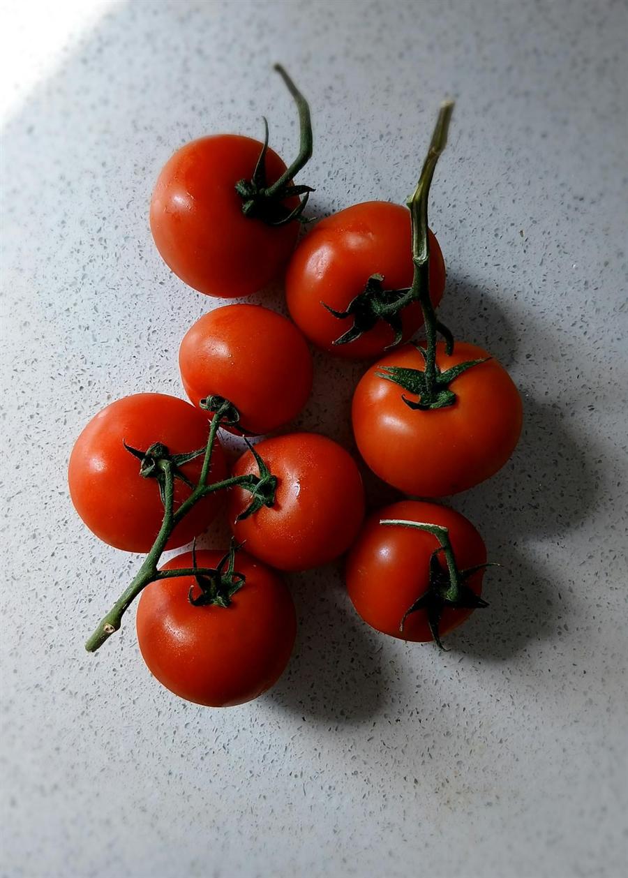 Tomatoes on a light background